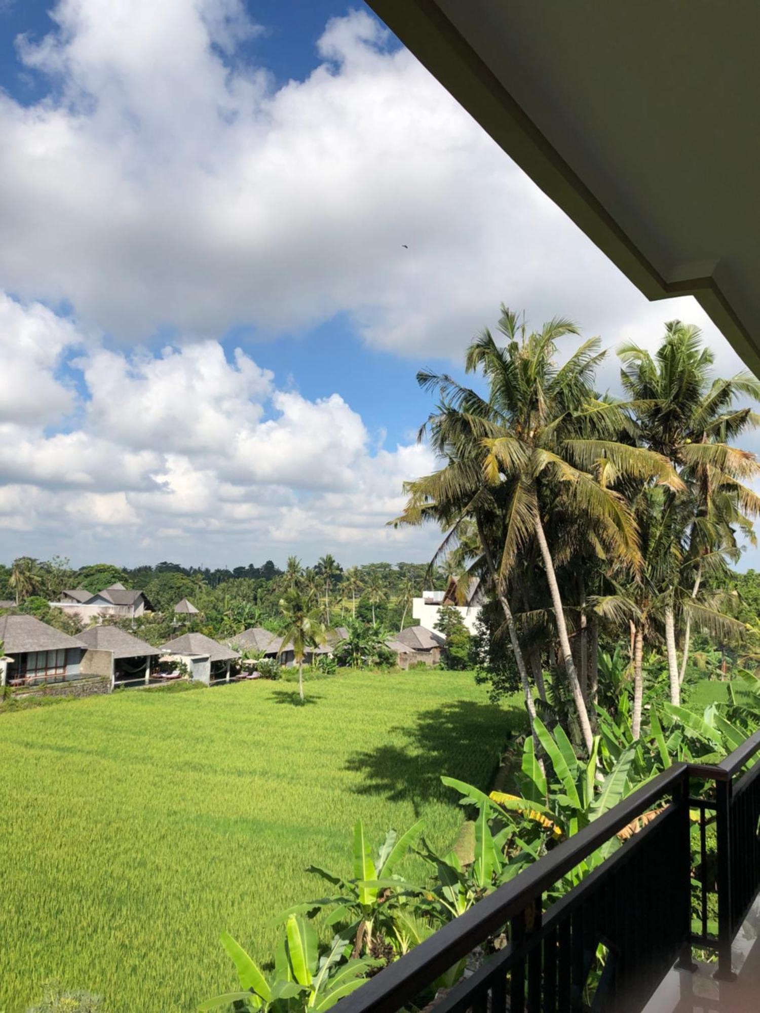Guest house Mira Family