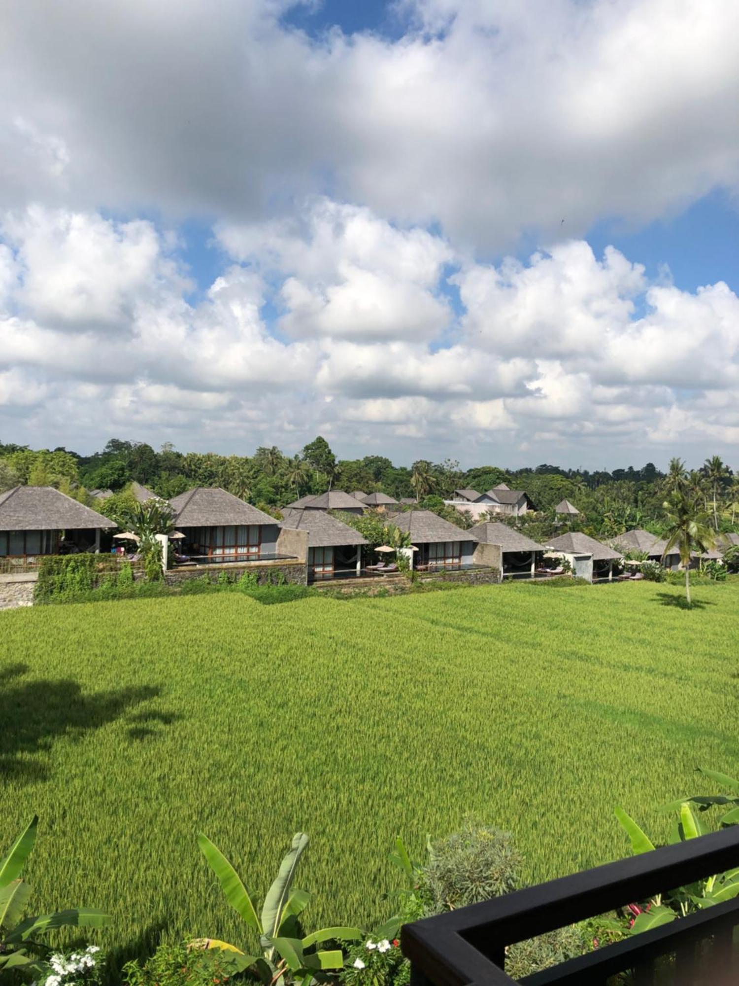 Guest house Mira Family *